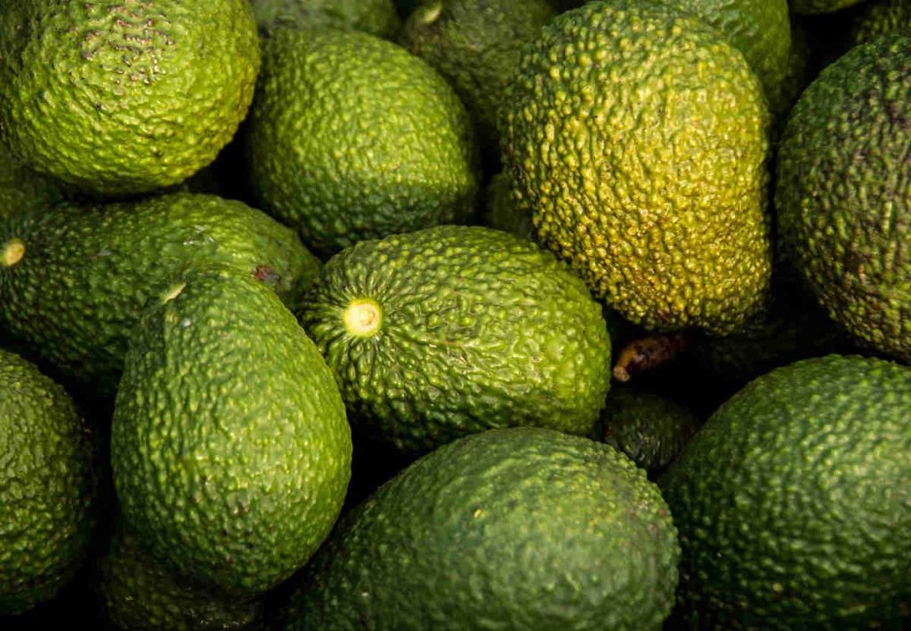 aguacates