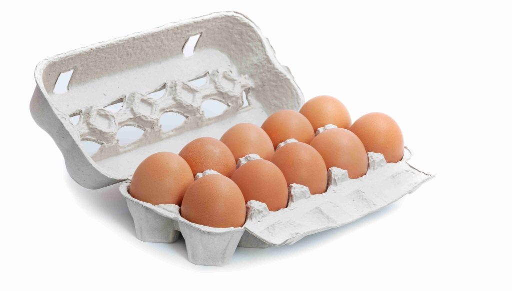 huevos ecológicos