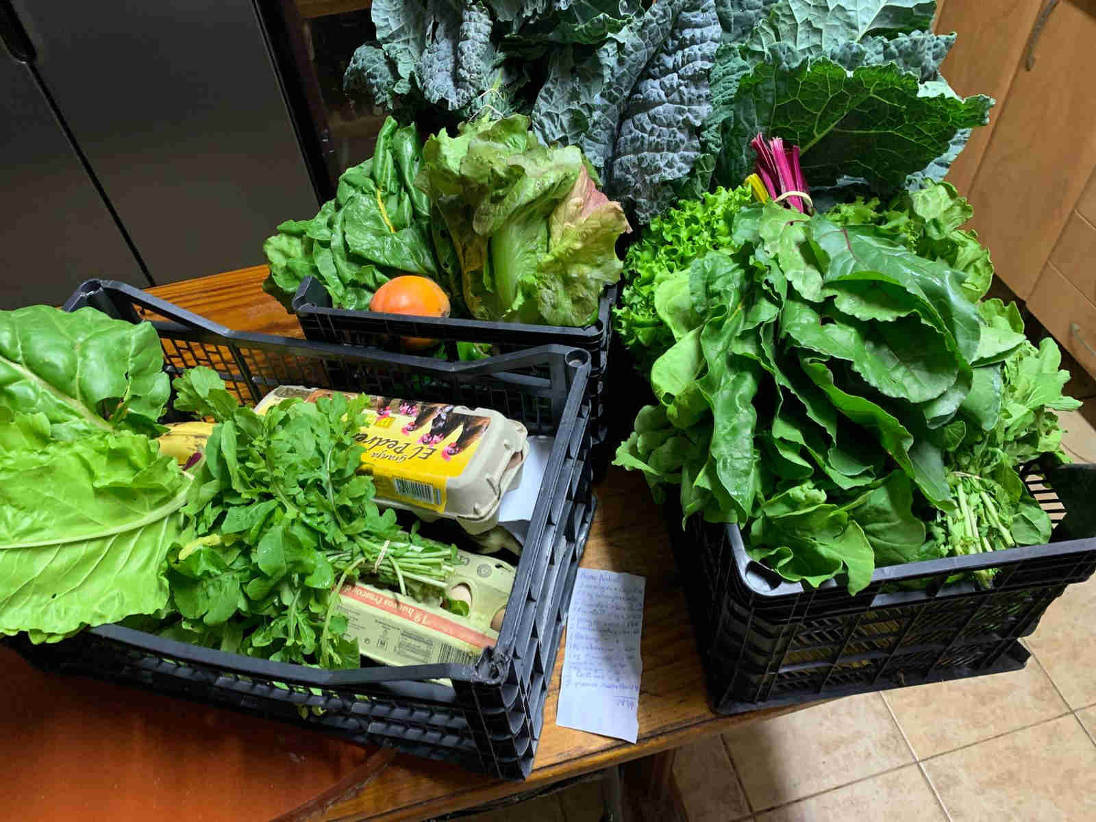 Tu cesta en Casa de Km 0