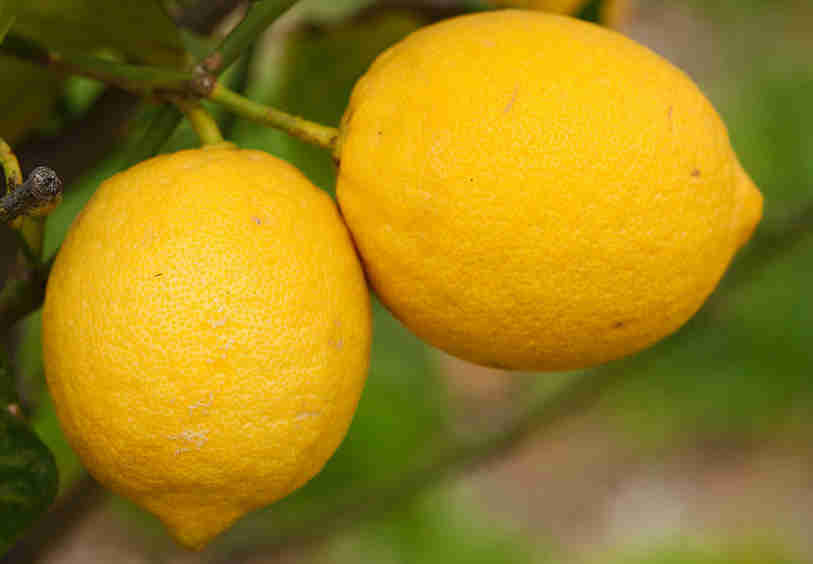 limones