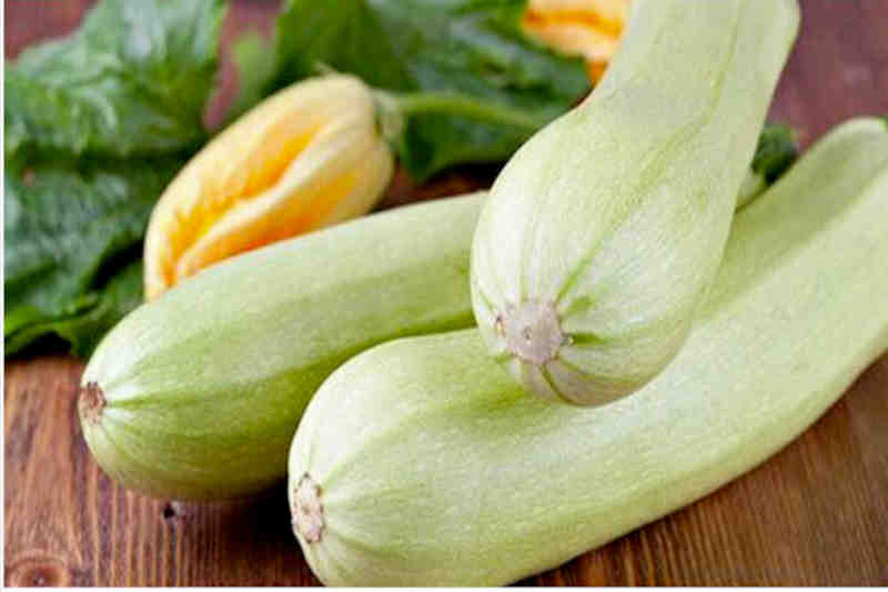 calabacín blanco