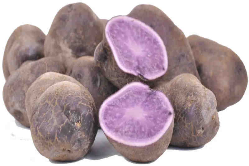 Batata Violeta