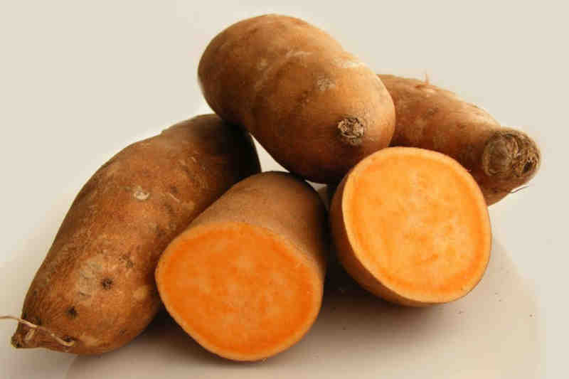 batata amarilla