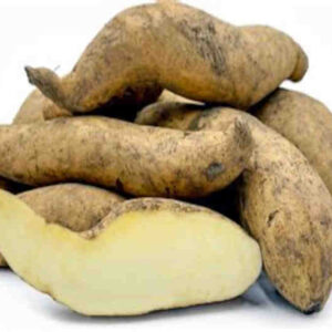 Batata blanca