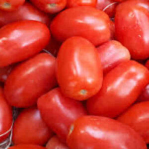 tomate pera