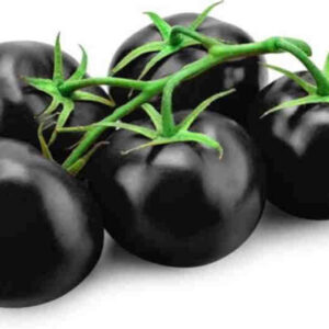 Tomate negro