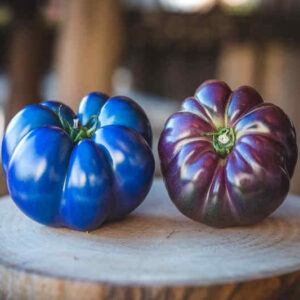 Tomate azul