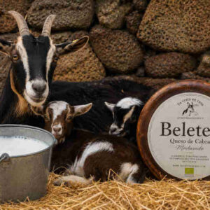 Beletén ecológico