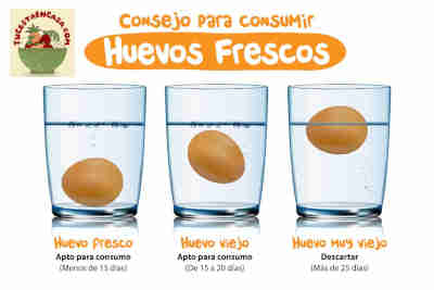 Huevos ecológicos y Km 0: frescura, calidad y beneficios