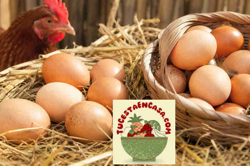 Huevos ecológicos y Km 0: frescura, calidad y beneficios