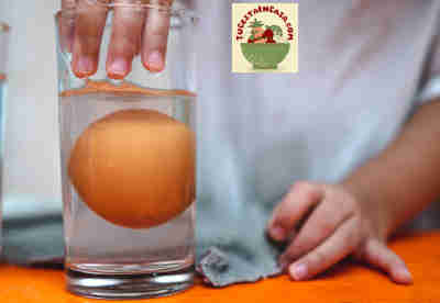 Huevos ecológicos y Km 0: frescura, calidad y beneficios