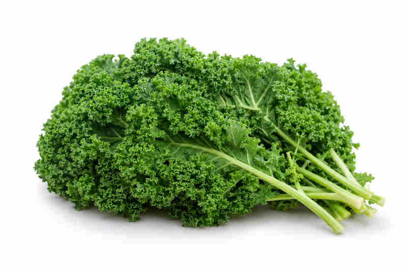 Kale Rizado Fresco 1 Kale Rizado Fresco
