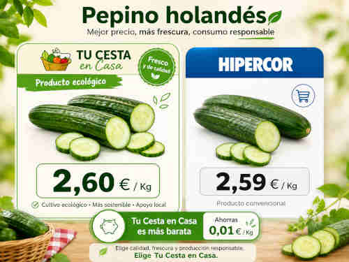 Pepino holandés Fresco 1 Pepino holandés Fresco