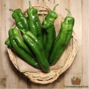 Pimiento Verde Italiano