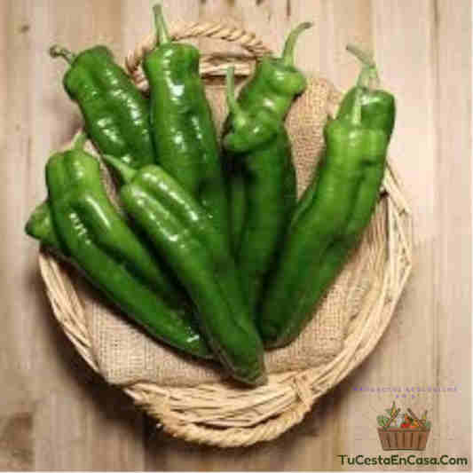 Pimiento verde italiano 1 Pimiento Verde Italiano