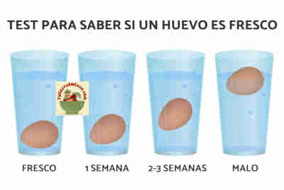Huevos ecológicos y Km 0: frescura, calidad y beneficios