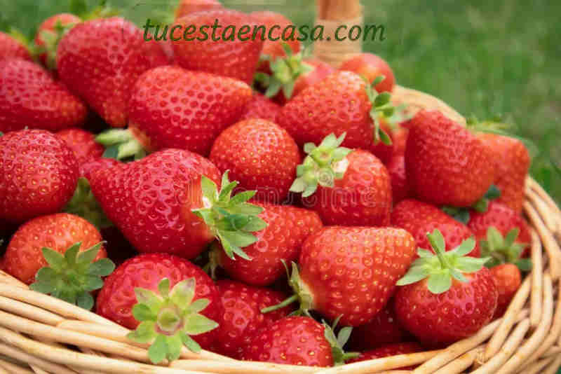 Fresas canarias 1 Fresas canarias