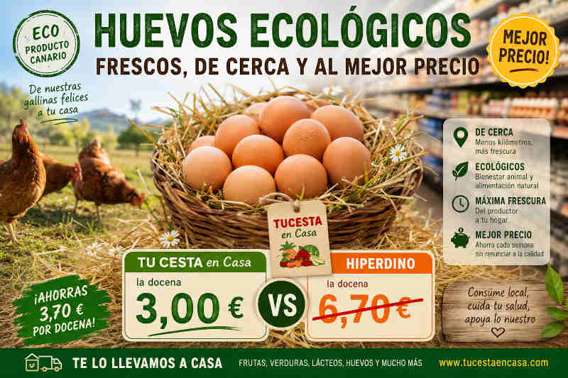 Huevos ecológicos 2 Huevos ecológicos