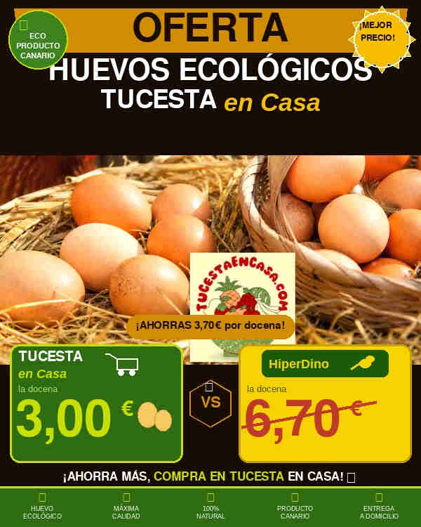 Huevos ecológicos 1 Huevos ecológicos