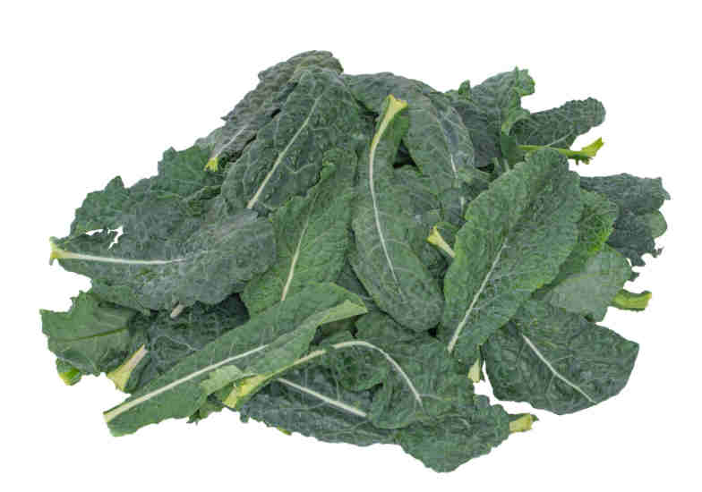 kale liso