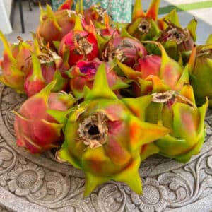 Pitahaya
