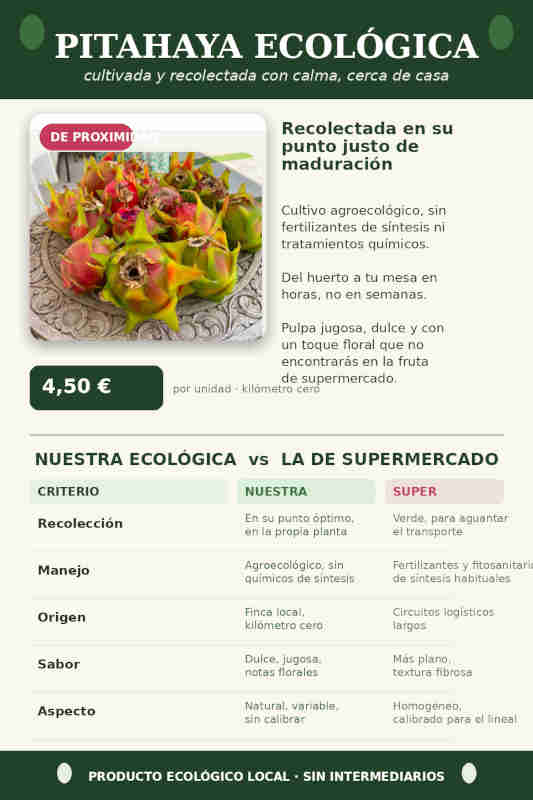 Pitahaya ecológica vs. pitahaya de super 2 Pitahaya ecológica vs. pitahaya de super